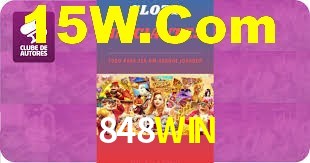 Premium Interface 848WIN
